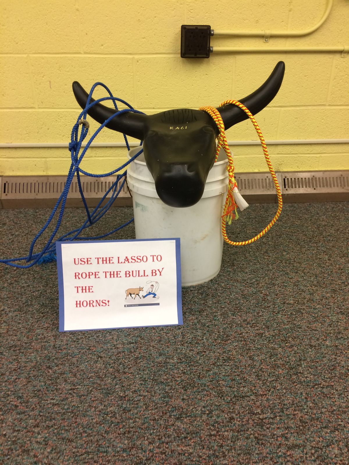 Lasso The Bull Game Rent in Jagitial for Birthday, Wedding, Corporate Events